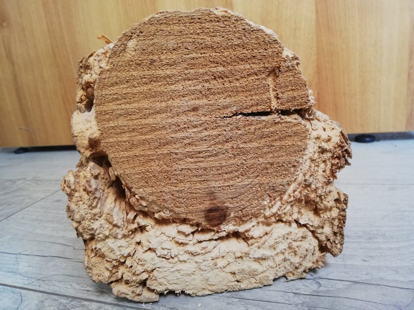 Traitement de bois par injection